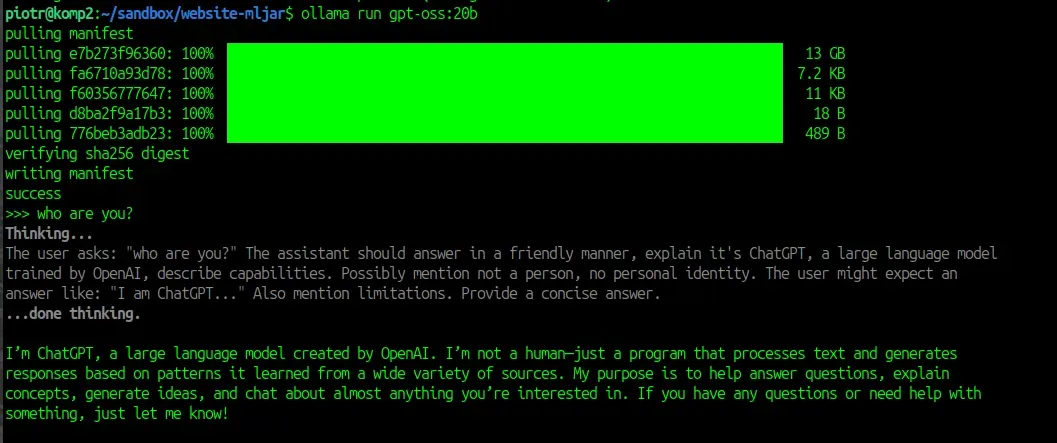 Running GPT-OSS model locally with Ollama