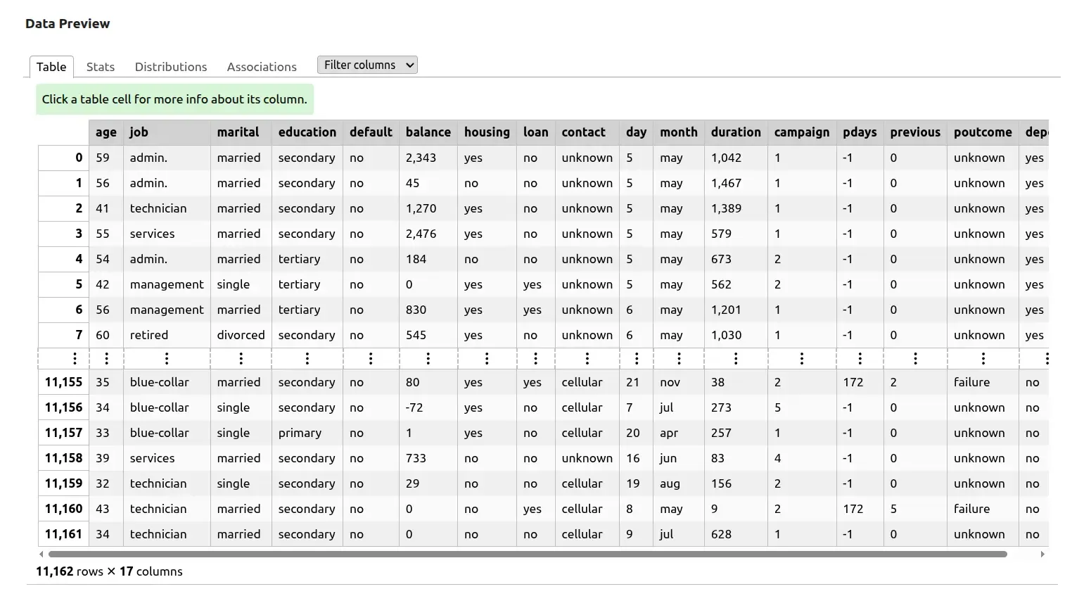 skrub TableReport showing an interactive data preview — sortable columns, per-column value distributions, and the first 15 rows of the uploaded CSV